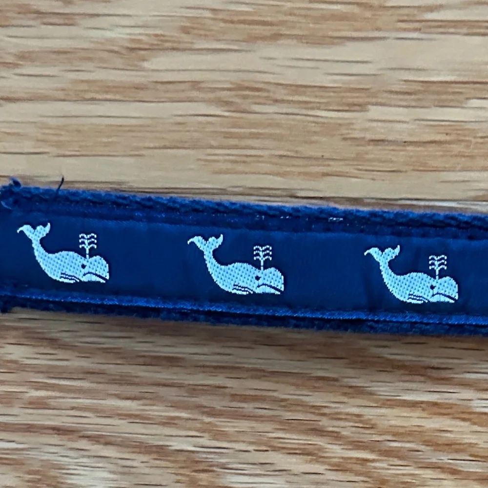 A. Tierney Kid's Whale D-Ring Belt (L)